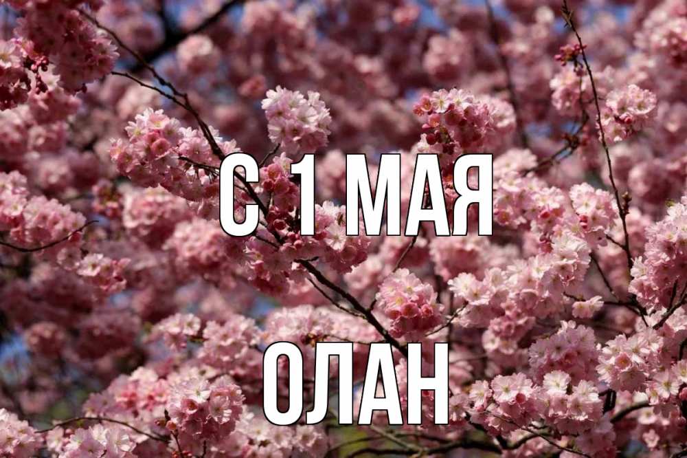 Открытка на каждый день с именем, Олан С 1 мая С 1 мая Прикольная открытка с пожеланием онлайн скачать бесплатно 