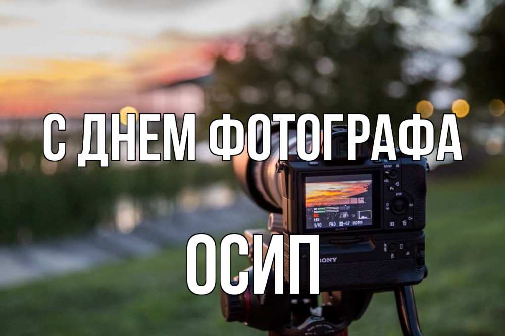 Открытка на каждый день с именем, Осип С днем фотографа с днем фотографа Прикольная открытка с пожеланием онлайн скачать бесплатно 