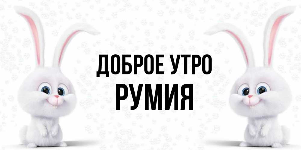 Открытка на каждый день с именем, Румия Доброе утро кролики с длинными ушками Прикольная открытка с пожеланием онлайн скачать бесплатно 