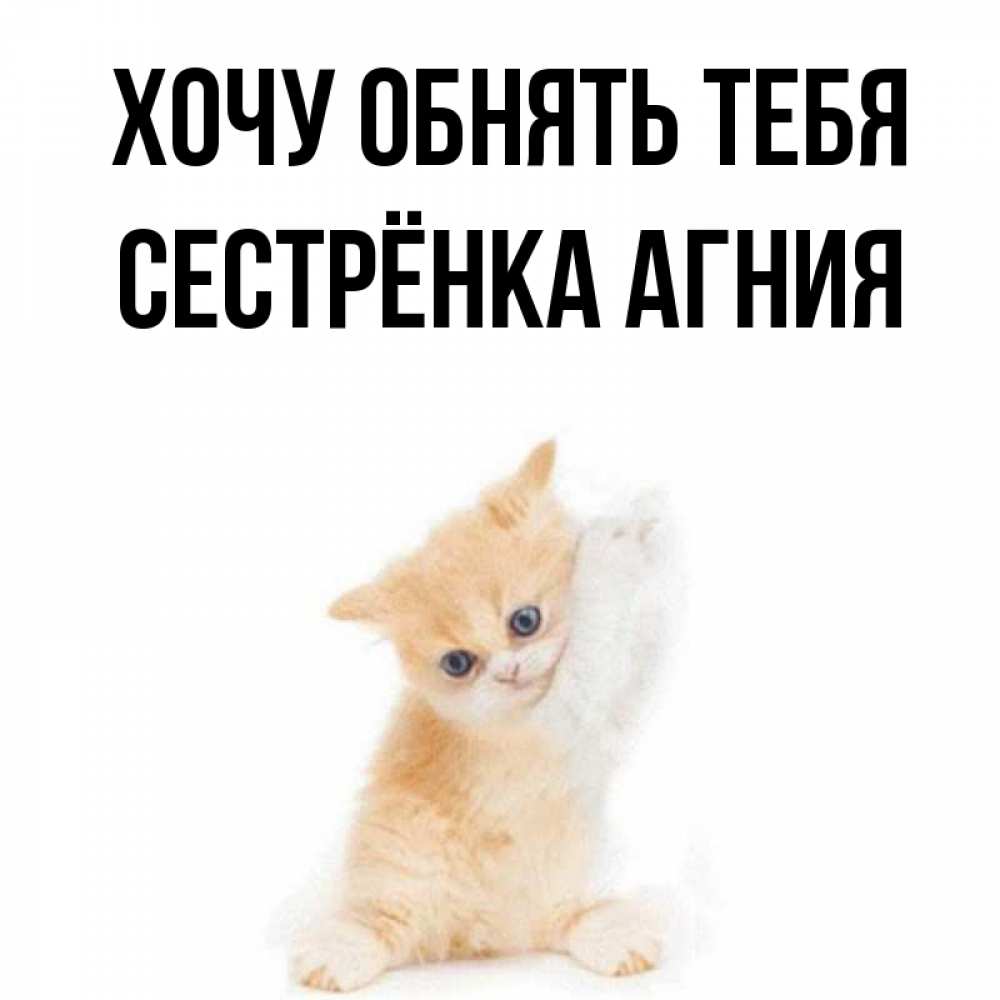 Открытка на каждый день с именем, Сестрёнка-Агния Хочу обнять тебя я хочу очень скорее обнимаешек Прикольная открытка с пожеланием онлайн скачать бесплатно 