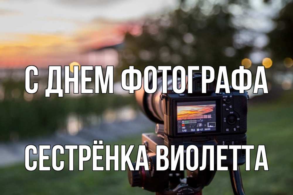 Открытка на каждый день с именем, Сестрёнка-Виолетта С днем фотографа с днем фотографа Прикольная открытка с пожеланием онлайн скачать бесплатно 