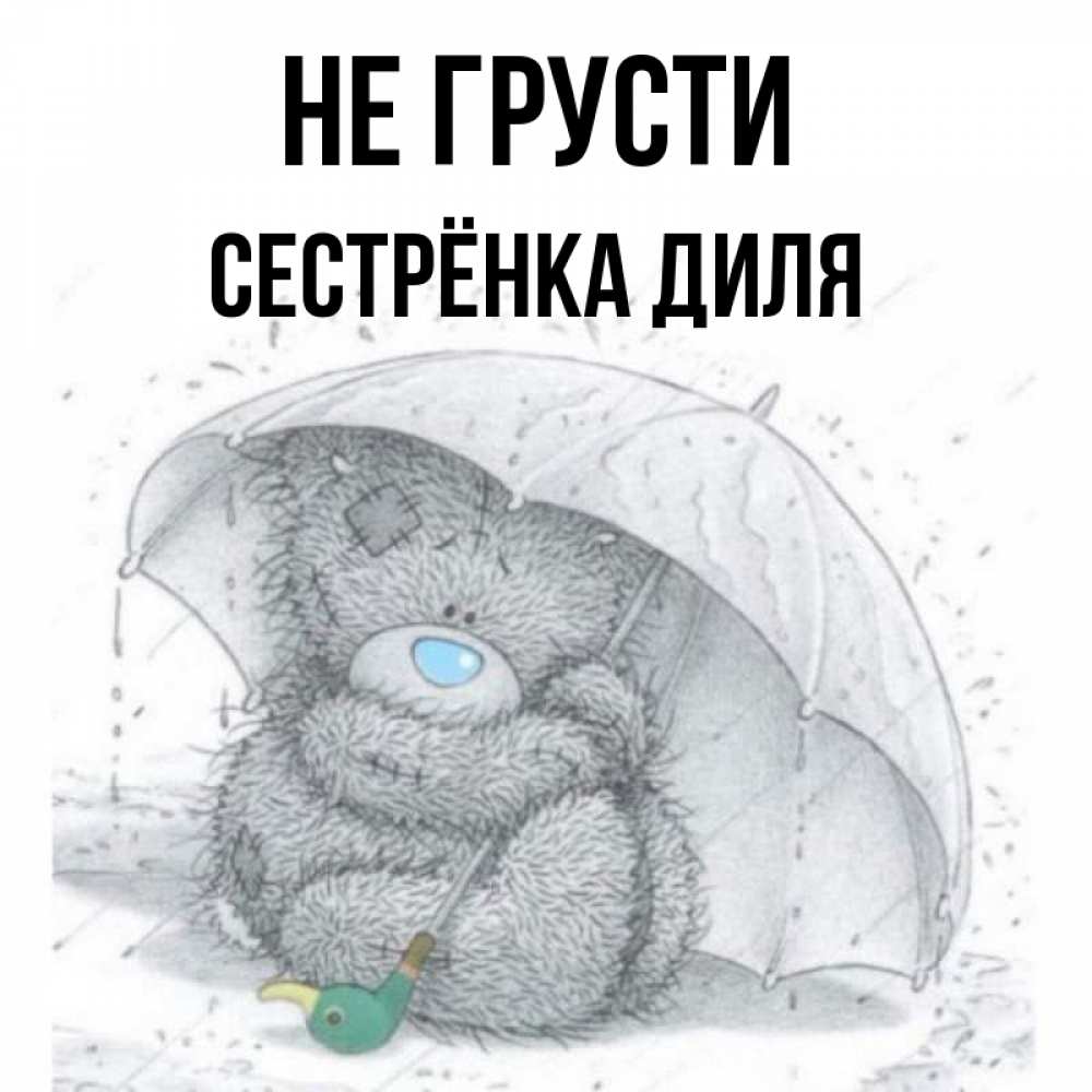 Открытка на каждый день с именем, Сестрёнка-Диля Не грусти спасите мишку Тедди Прикольная открытка с пожеланием онлайн скачать бесплатно 