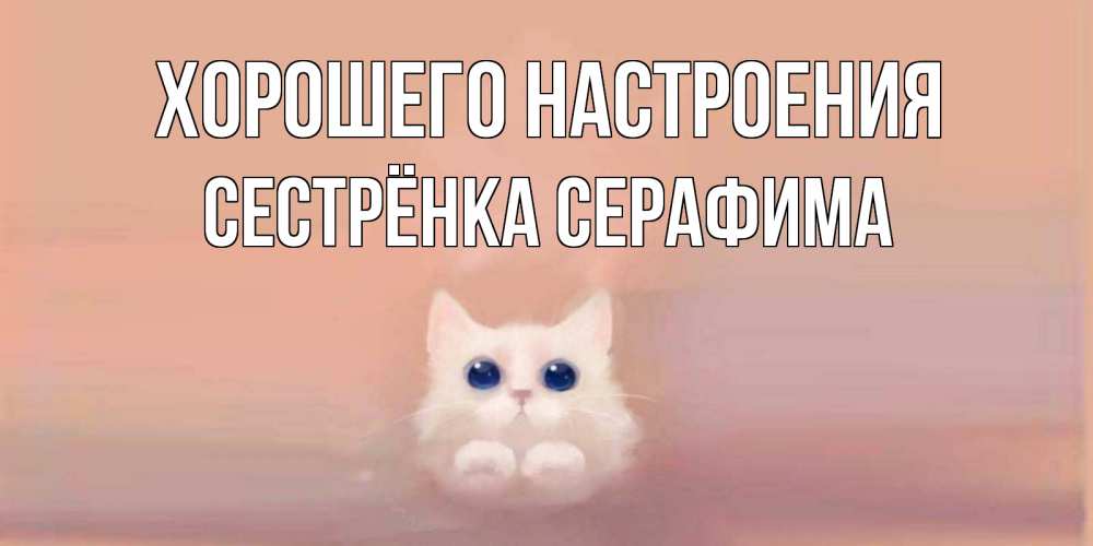 Открытка на каждый день с именем, Сестрёнка-Серафима Хорошего настроения кошка Прикольная открытка с пожеланием онлайн скачать бесплатно 