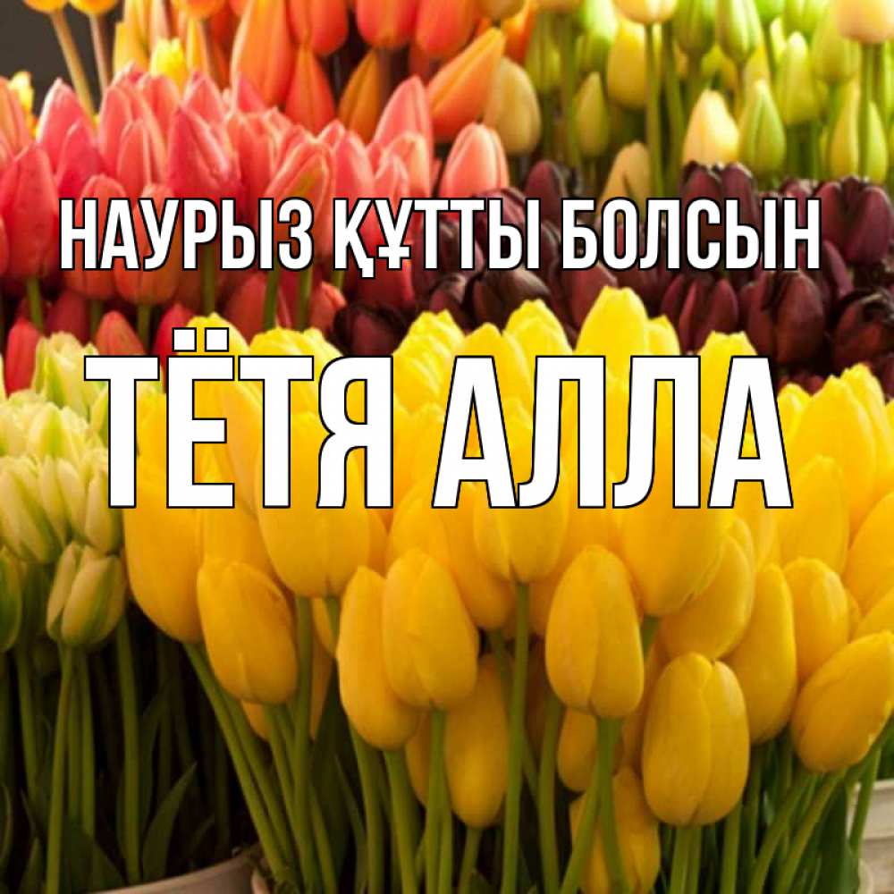 Открытка на каждый день с именем, Тётя-Алла Наурыз құтты болсын цветы Прикольная открытка с пожеланием онлайн скачать бесплатно 