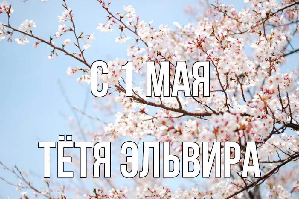 Открытка на каждый день с именем, Тётя-Эльвира С 1 мая С 1 мая Прикольная открытка с пожеланием онлайн скачать бесплатно 