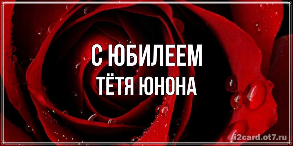 Открытка на каждый день с именем, Тётя-Юнона С юбилеем крупная бордовая роза Прикольная открытка с пожеланием онлайн скачать бесплатно 
