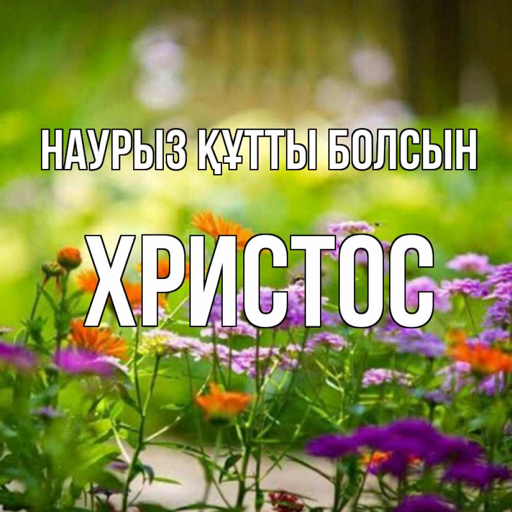 Открытка на каждый день с именем, Христос Наурыз құтты болсын цветы Прикольная открытка с пожеланием онлайн скачать бесплатно 