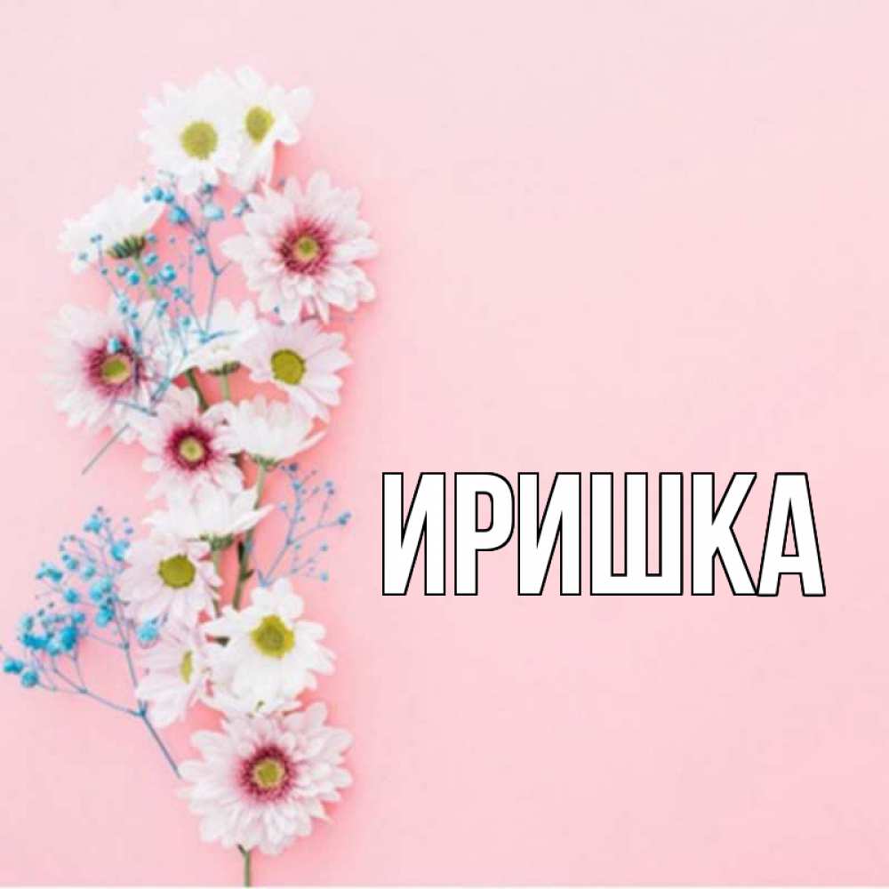 Иришка иришка 40