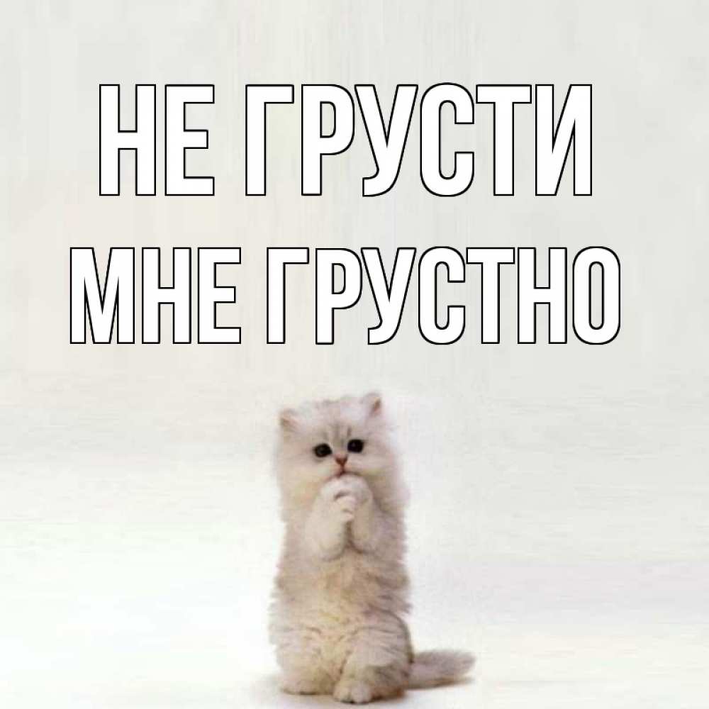 Открытка на каждый день с именем, Мне-грустно Не грусти грустный кот Прикольная открытка с пожеланием онлайн скачать бесплатно 