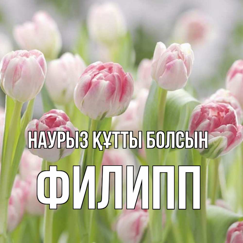 Открытка на каждый день с именем, Филипп Наурыз құтты болсын цветы Прикольная открытка с пожеланием онлайн скачать бесплатно 