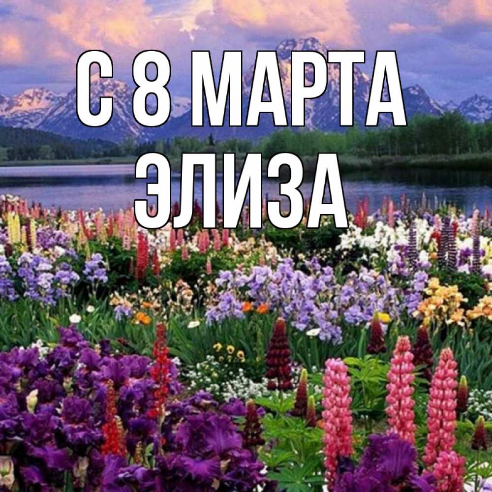 Картинка С 8 марта, Элиза
