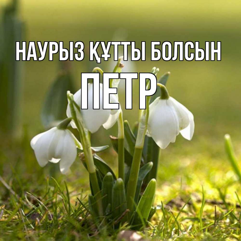 Открытка на каждый день с именем, Петр Наурыз құтты болсын ранние цветы 2 Прикольная открытка с пожеланием онлайн скачать бесплатно 
