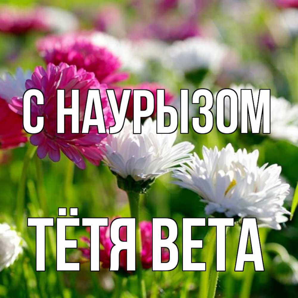 Открытка на каждый день с именем, Тётя-Вета С наурызом праздник весны наурыз красота Прикольная открытка с пожеланием онлайн скачать бесплатно 