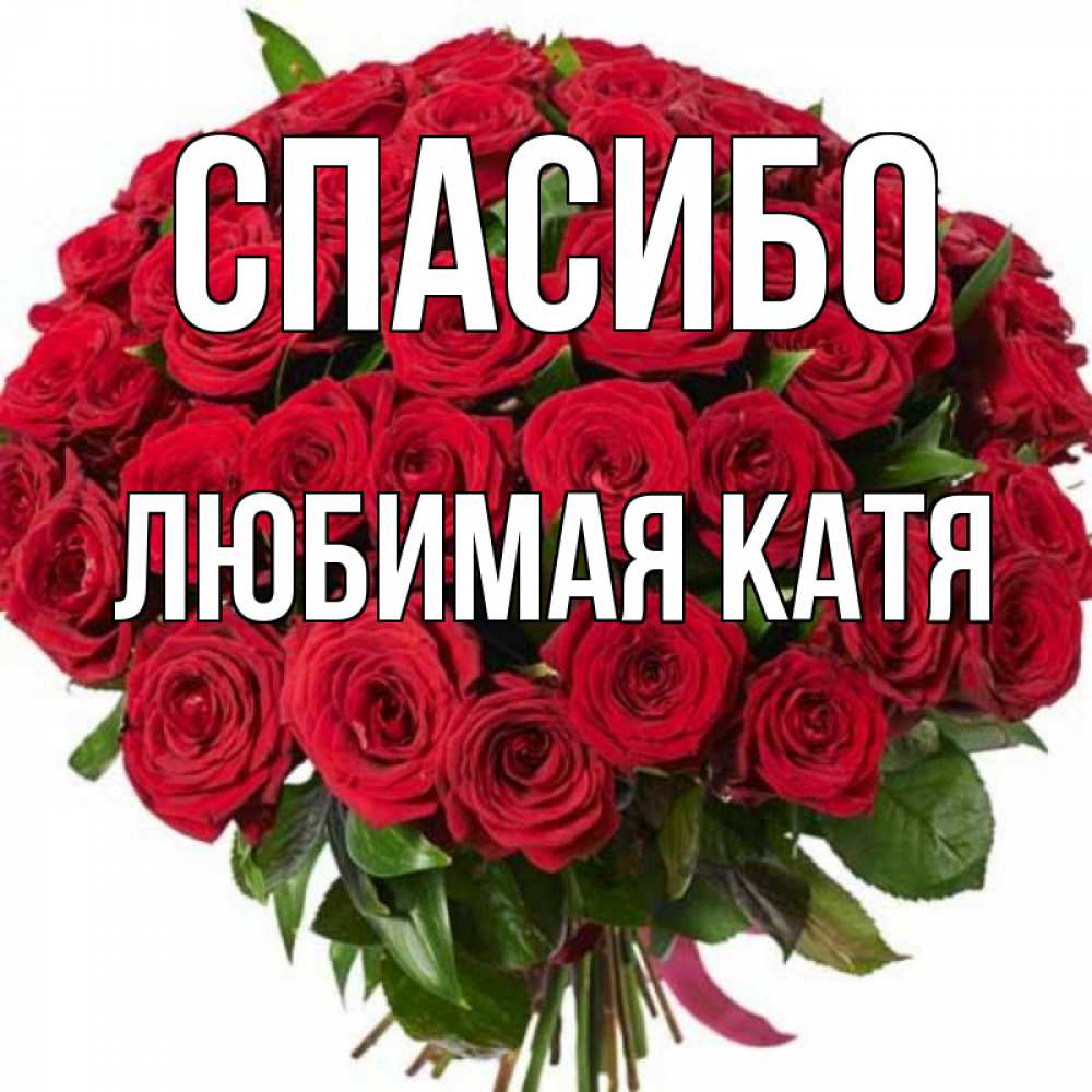 Скачать Открытку Спасибо Катя