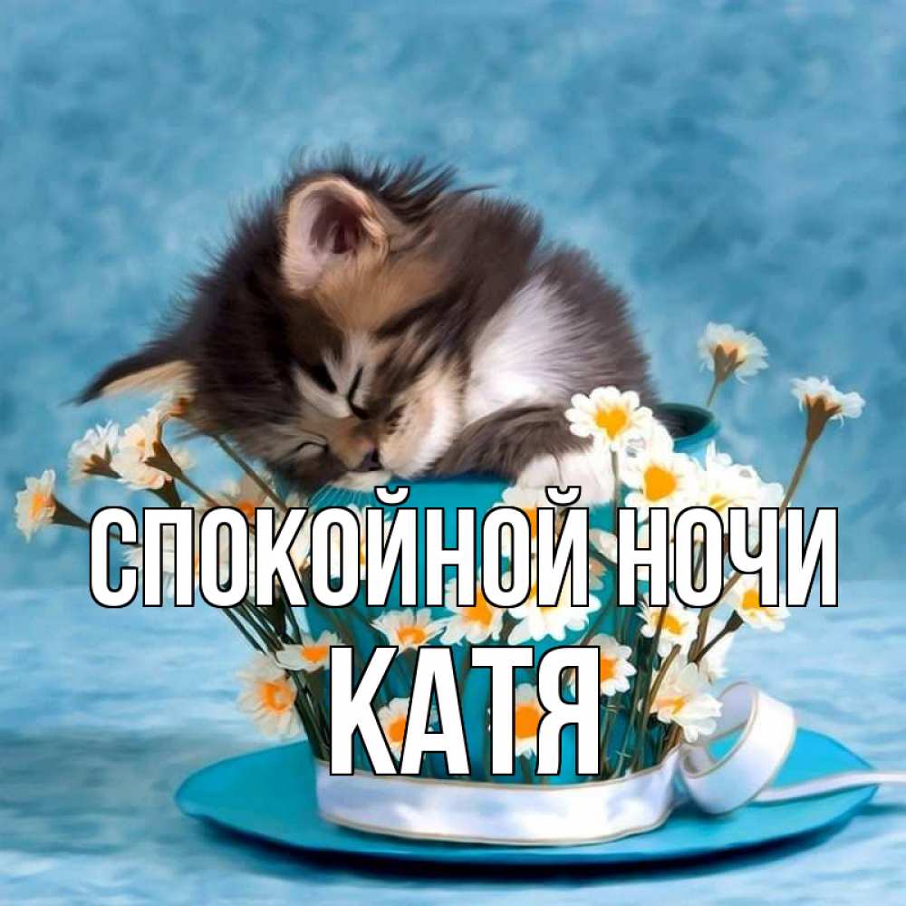 Открытка на каждый день с именем, катя Спокойной ночи котенок спит в кружке с блюдцем Прикольная открытка с пожеланием онлайн скачать бесплатно 