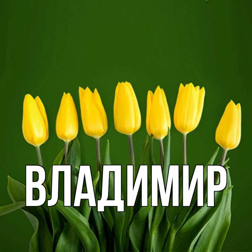 Открытка на каждый день с именем, Владимир Главная желтого цвета 3 Прикольная открытка с пожеланием онлайн скачать бесплатно 