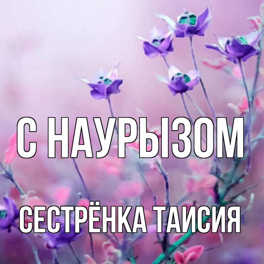 Открытка на каждый день с именем, Сестрёнка-Таисия С наурызом международный женский день 2 Прикольная открытка с пожеланием онлайн скачать бесплатно 