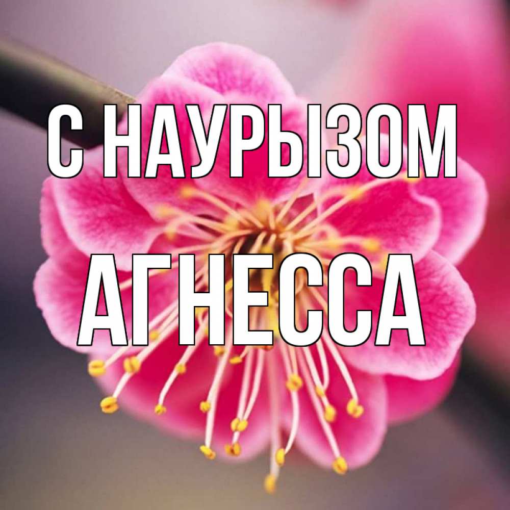 Открытка на каждый день с именем, Агнесса С наурызом цветы Прикольная открытка с пожеланием онлайн скачать бесплатно 
