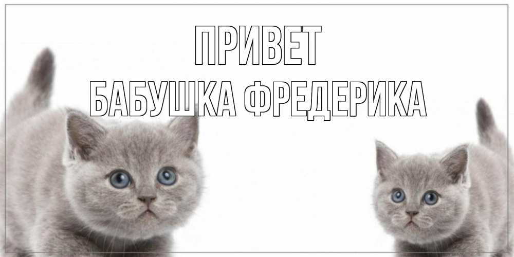 Открытка на каждый день с именем, Бабушка-Фредерика Привет коты Прикольная открытка с пожеланием онлайн скачать бесплатно 