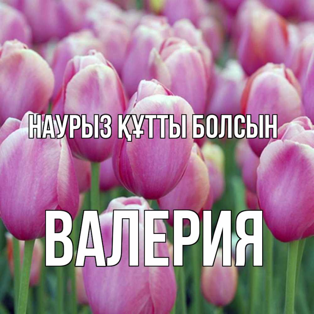 Открытка на каждый день с именем, Валерия Наурыз құтты болсын на наурыз  день 3 Прикольная открытка с пожеланием онлайн скачать бесплатно 