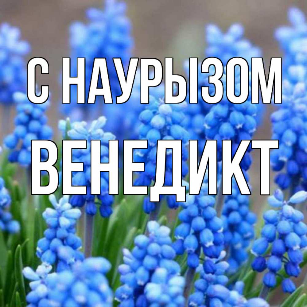 Открытка на каждый день с именем, Венедикт С наурызом Поздравительная открытка для женщин с цветами на праздничную дату Прикольная открытка с пожеланием онлайн скачать бесплатно 