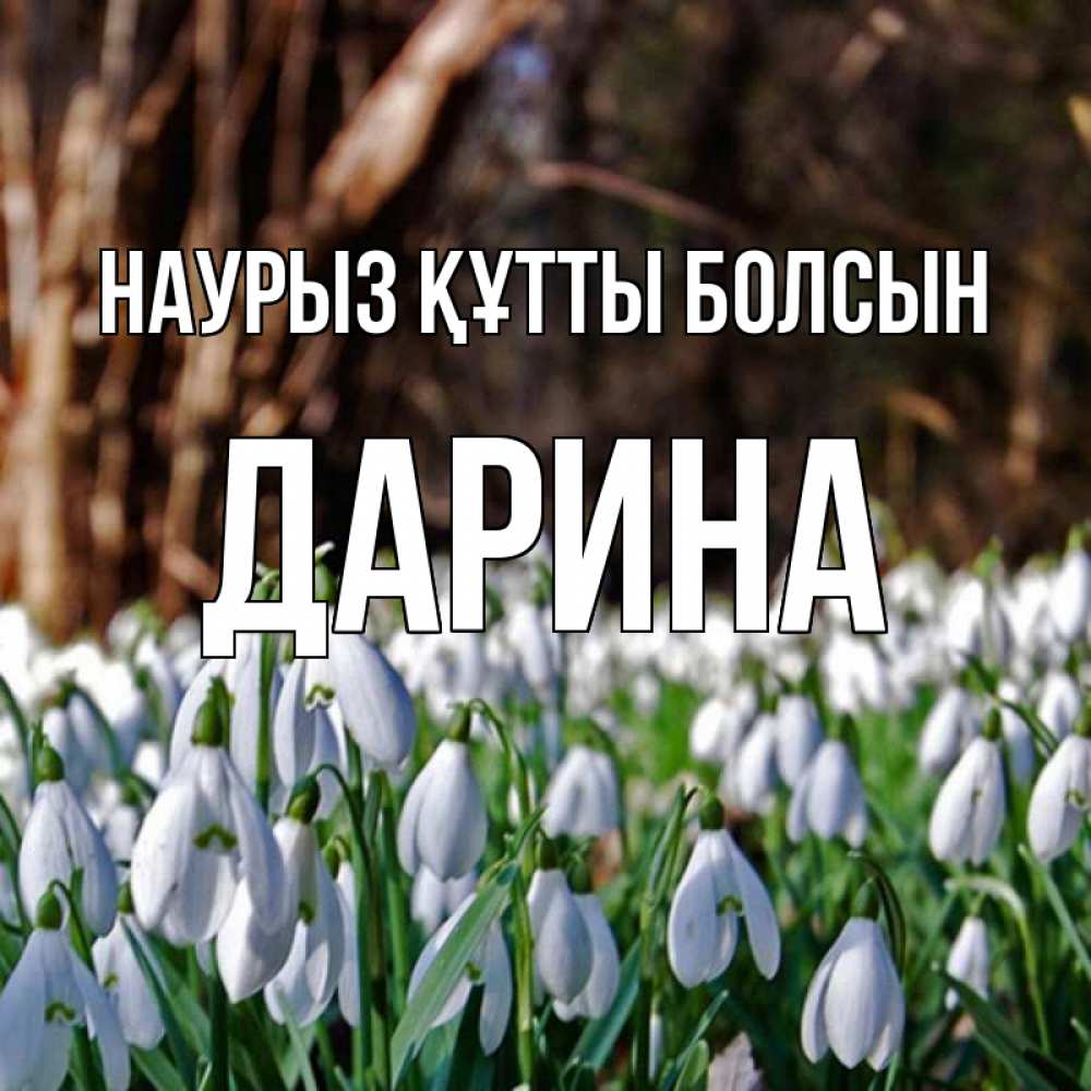 Открытка на каждый день с именем, Дарина Наурыз құтты болсын с подснежниками 1 Прикольная открытка с пожеланием онлайн скачать бесплатно 