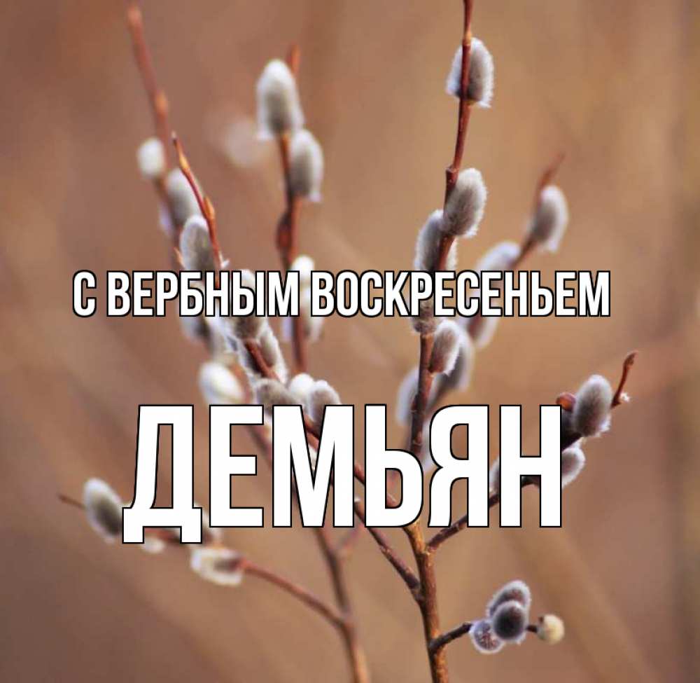 Открытка на каждый день с именем, Демьян С вербным воскресеньем верба Прикольная открытка с пожеланием онлайн скачать бесплатно 