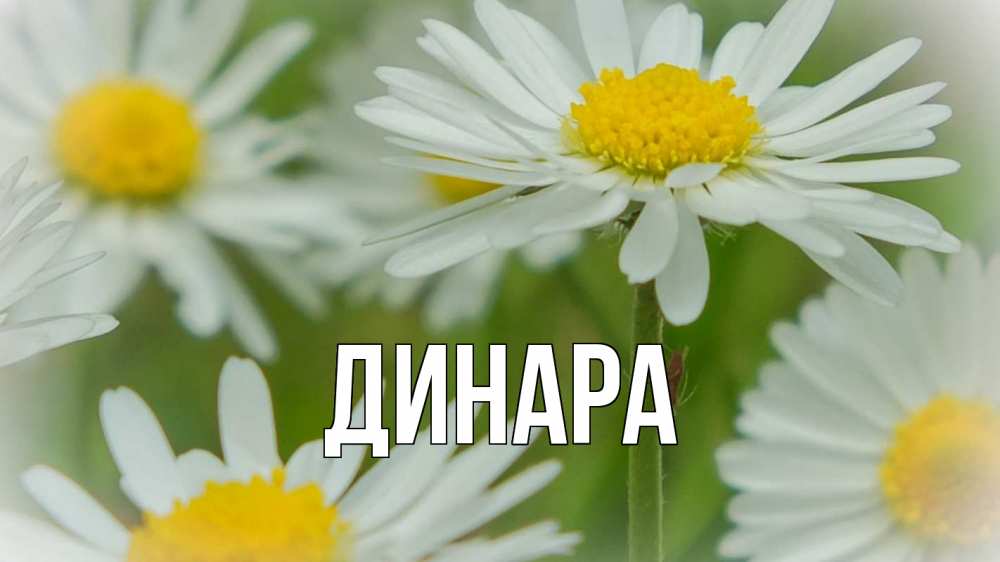 Картинка  с именем , Динара