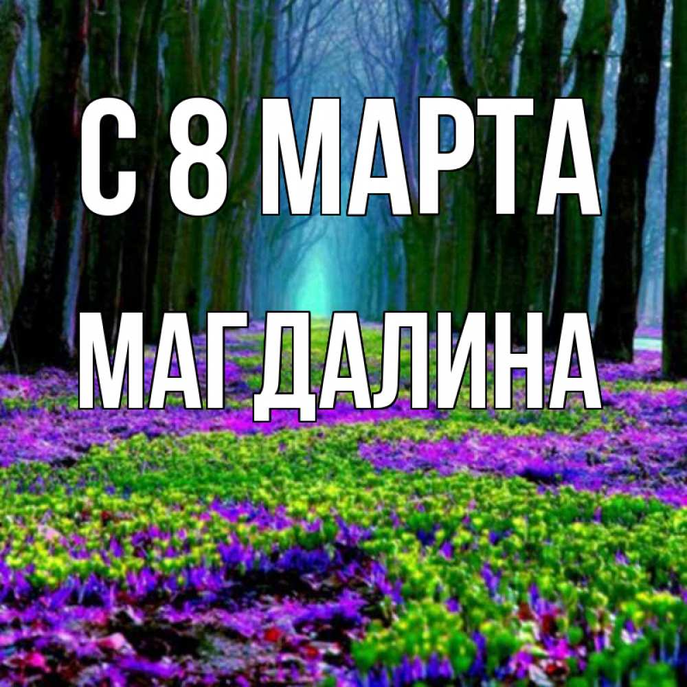 Открытка на каждый день с именем, Магдалина С 8 МАРТА фиолетовые цветы в лесу 1 Прикольная открытка с пожеланием онлайн скачать бесплатно 