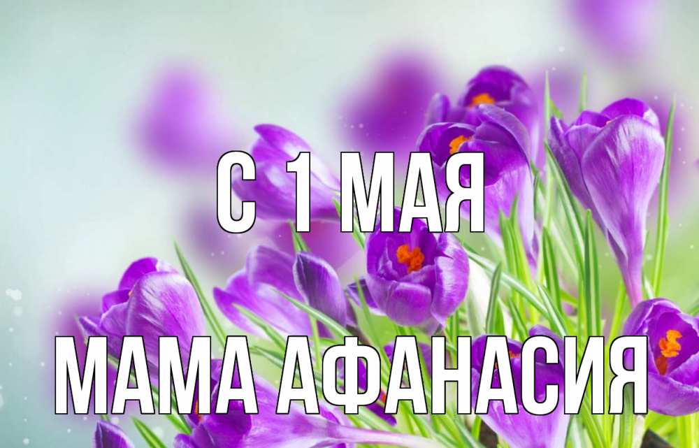 Открытка на каждый день с именем, Мама-Афанасия С 1 мая 1 мая Прикольная открытка с пожеланием онлайн скачать бесплатно 