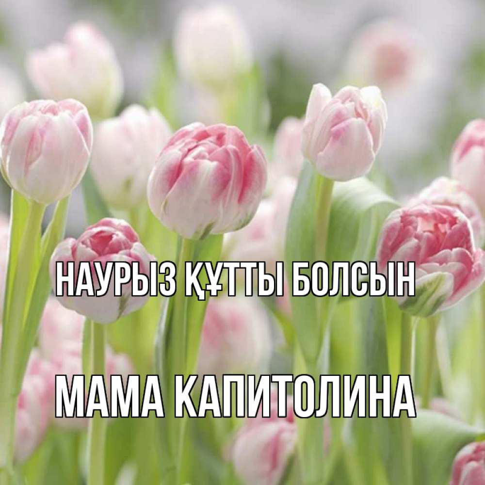 Открытка на каждый день с именем, Мама-Капитолина Наурыз құтты болсын цветы Прикольная открытка с пожеланием онлайн скачать бесплатно 