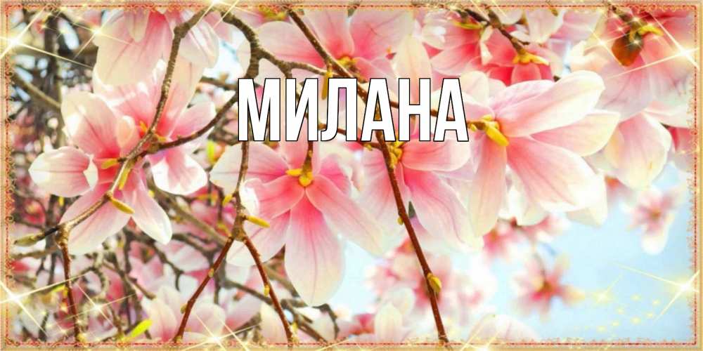 Открытка на каждый день с именем, Милана Главная цветы деревьев на 8 марта Прикольная открытка с пожеланием онлайн скачать бесплатно 
