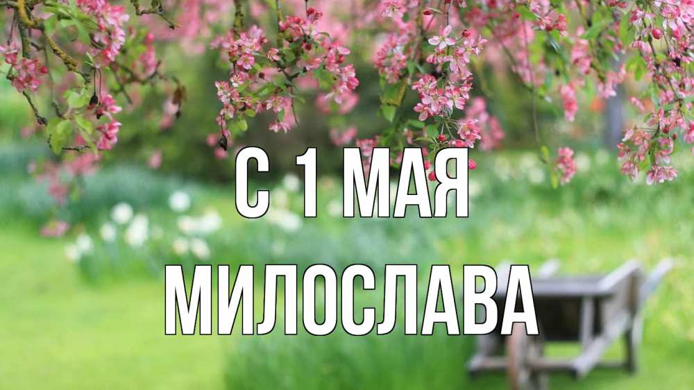 Открытка на каждый день с именем, Милослава С 1 мая С 1 мая Прикольная открытка с пожеланием онлайн скачать бесплатно 