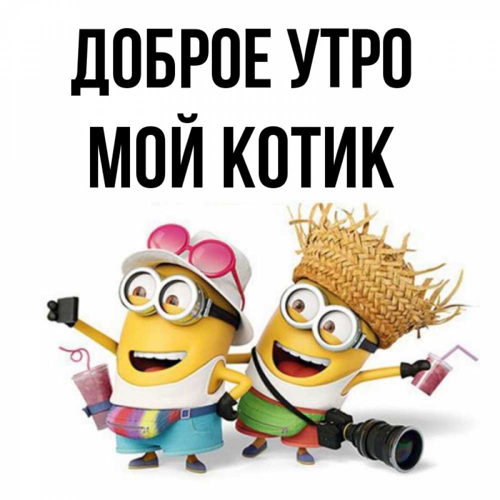 Открытка на каждый день с именем, Мой-Котик Доброе утро карнавал Прикольная открытка с пожеланием онлайн скачать бесплатно 