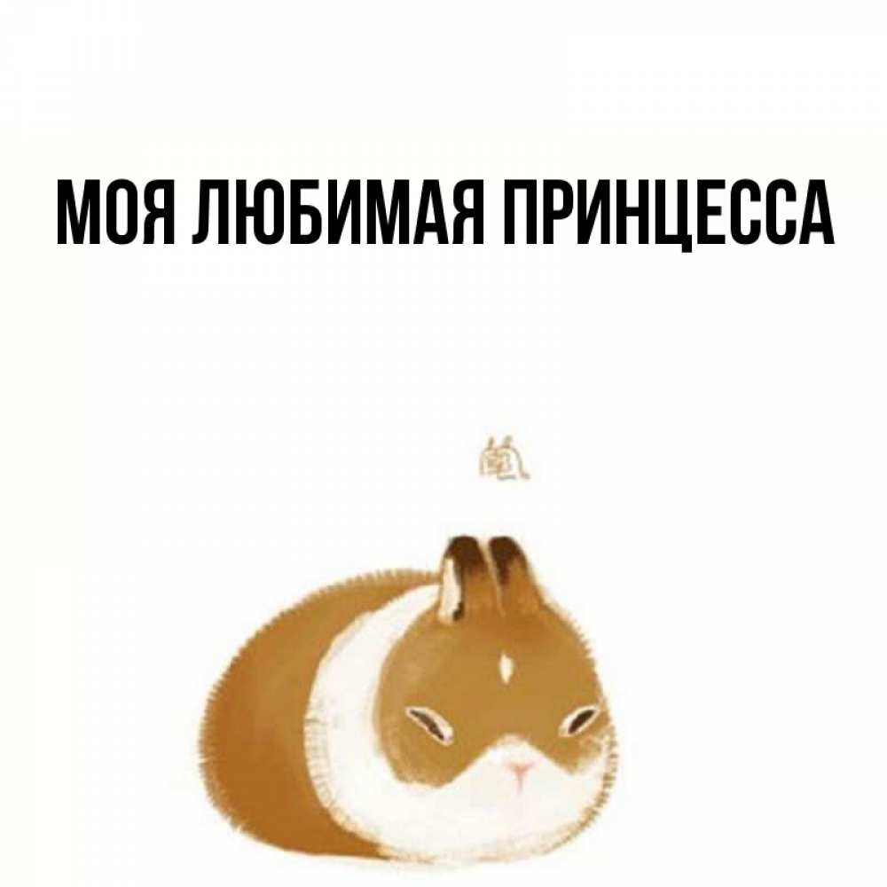 Открытка на каждый день с именем, Моя-Любимая-Принцесса Главная коричнево белый домашний питомец Прикольная открытка с пожеланием онлайн скачать бесплатно 