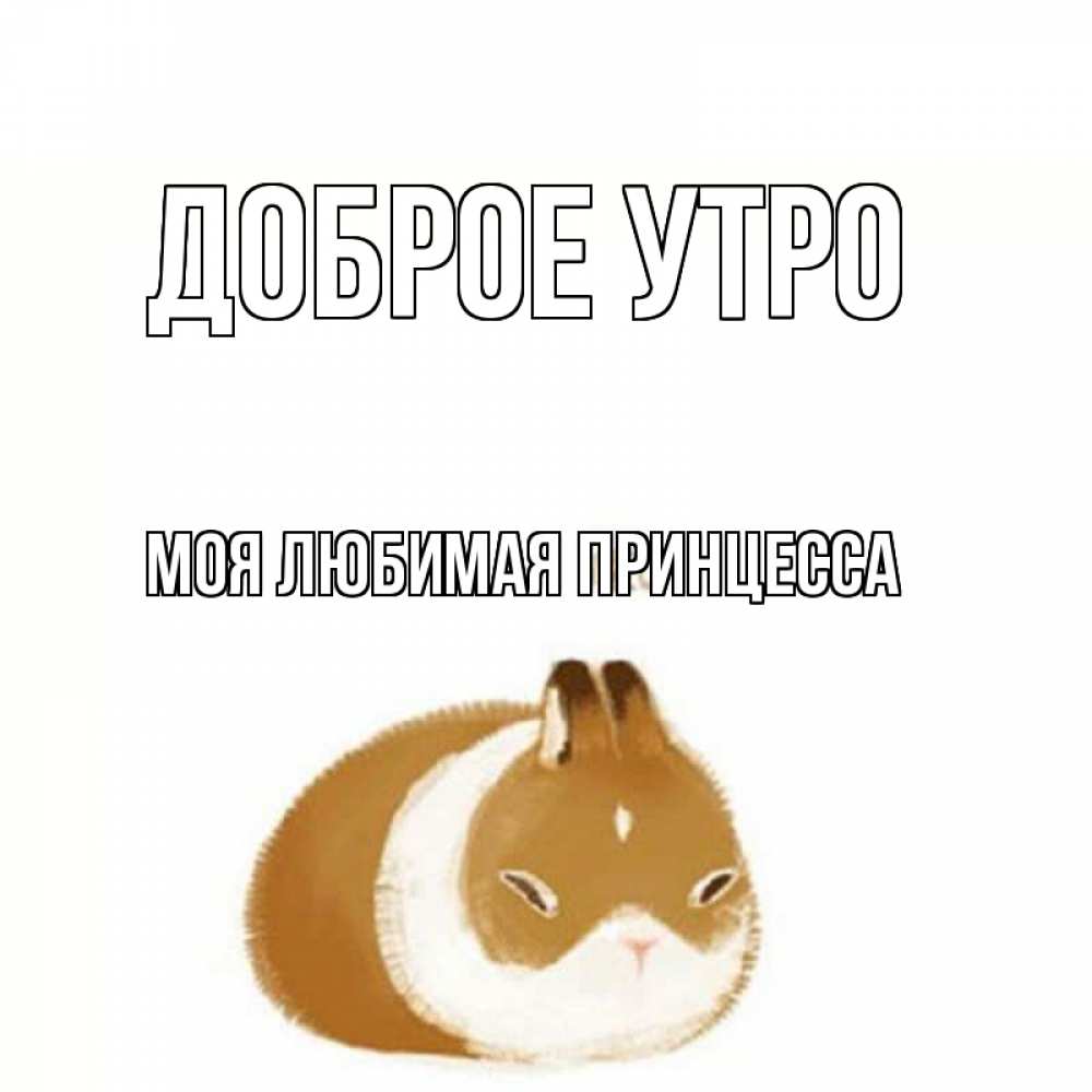 Открытка на каждый день с именем, Моя-Любимая-Принцесса Доброе утро хорошего утречка Прикольная открытка с пожеланием онлайн скачать бесплатно 