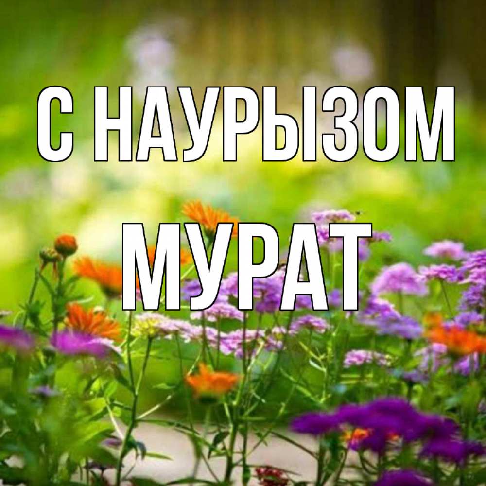 Открытка на каждый день с именем, Мурат С наурызом цветы Прикольная открытка с пожеланием онлайн скачать бесплатно 