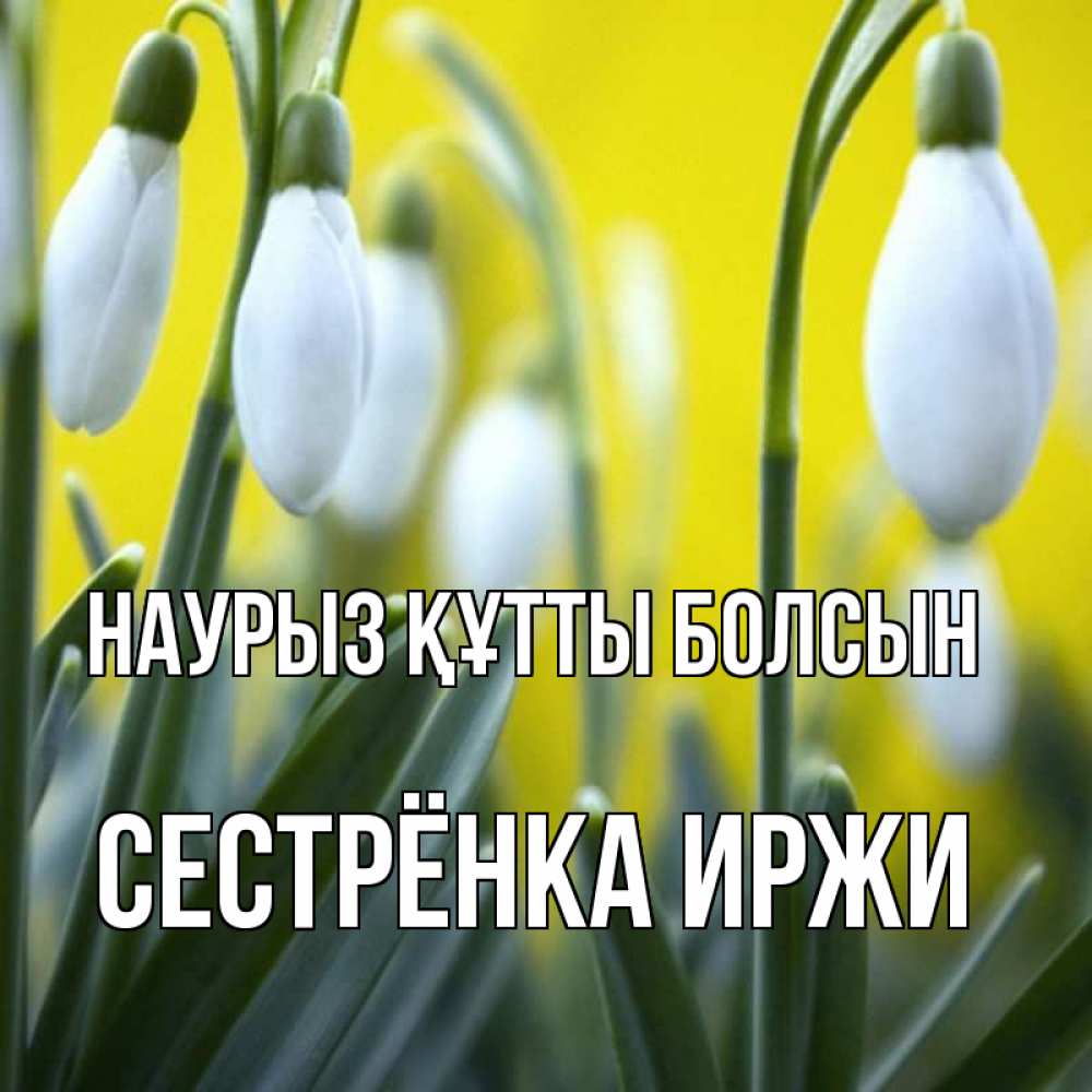 Открытка на каждый день с именем, Сестрёнка-Иржи Наурыз құтты болсын весенние цветы Прикольная открытка с пожеланием онлайн скачать бесплатно 