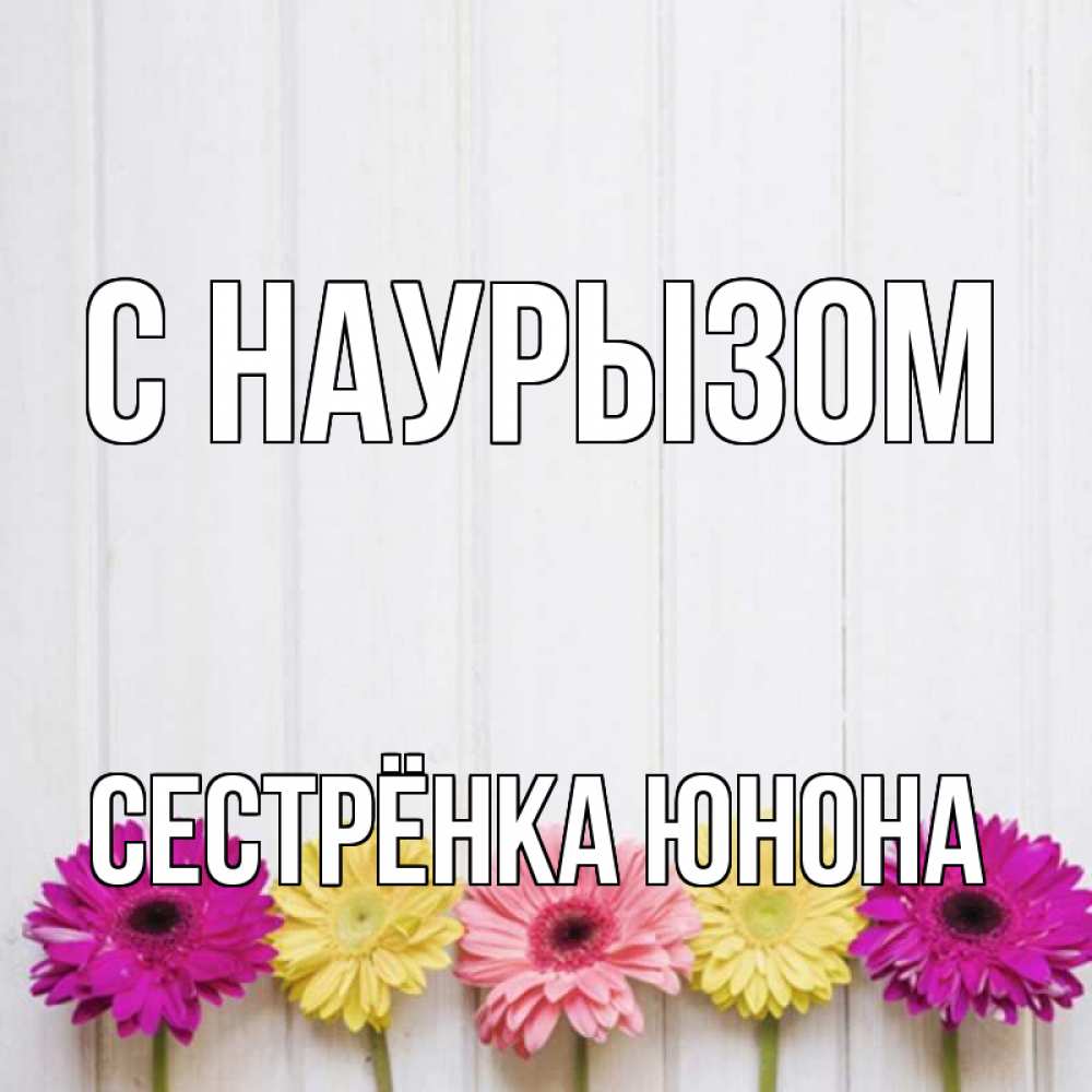 Открытка на каждый день с именем, Сестрёнка-Юнона С наурызом женщинам 1 Прикольная открытка с пожеланием онлайн скачать бесплатно 