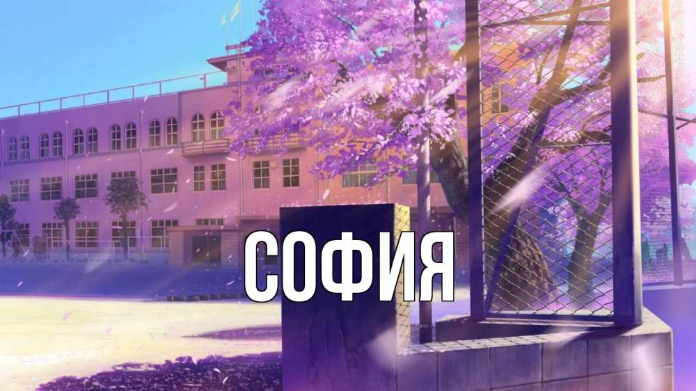 Открытка на каждый день с именем, София Главная 1 сентября Прикольная открытка с пожеланием онлайн скачать бесплатно 