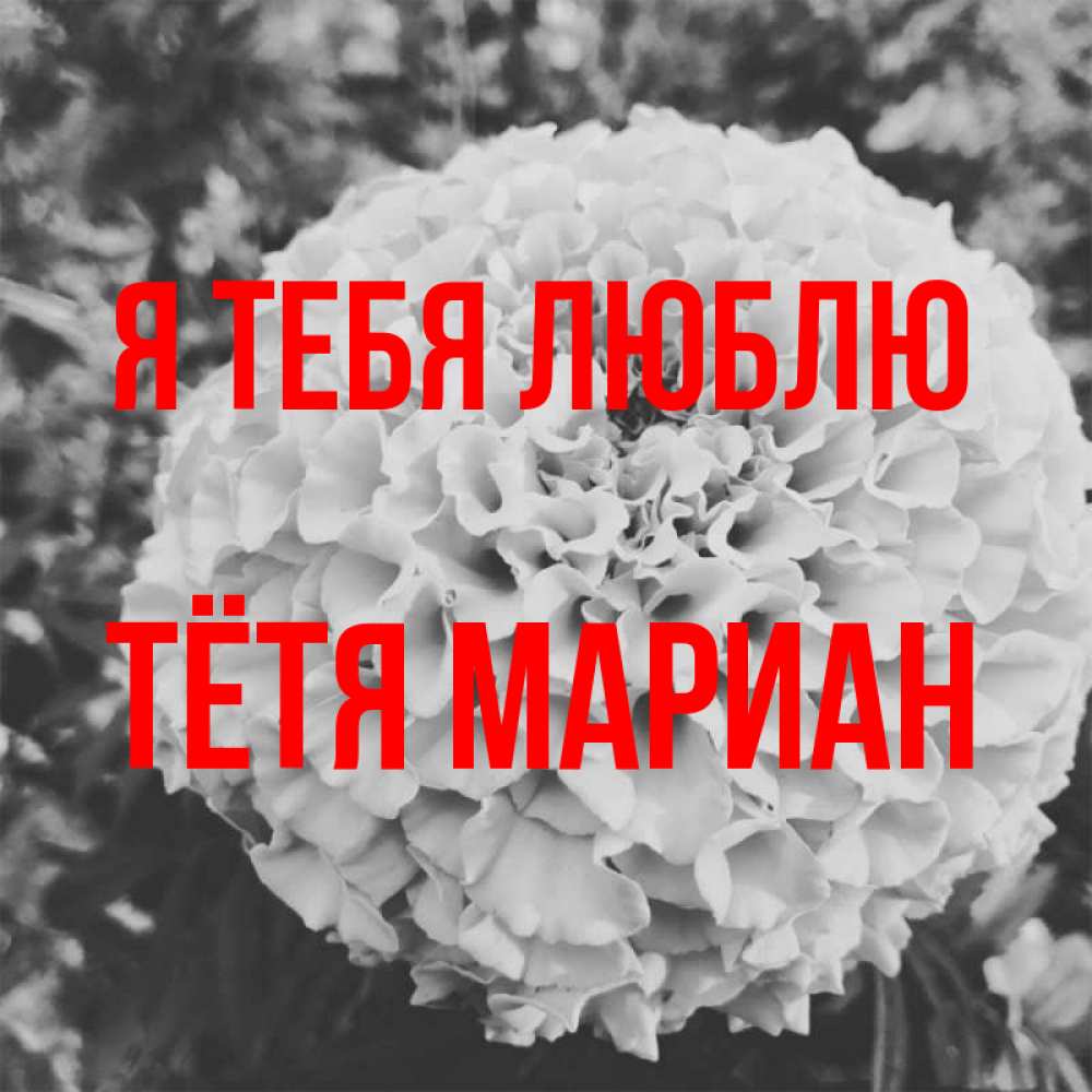 Открытка на каждый день с именем, Тётя-Мариан Я тебя люблю подпись Прикольная открытка с пожеланием онлайн скачать бесплатно 