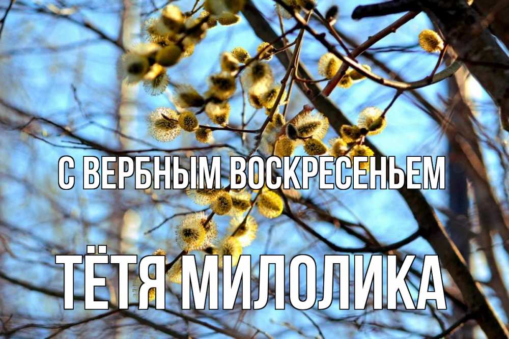 Открытка на каждый день с именем, Тётя-Милолика С вербным воскресеньем верба Прикольная открытка с пожеланием онлайн скачать бесплатно 