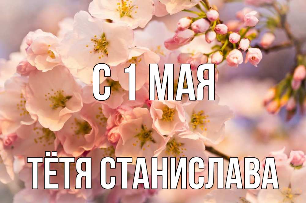 Открытка на каждый день с именем, Тётя-Станислава С 1 мая С 1 мая Прикольная открытка с пожеланием онлайн скачать бесплатно 