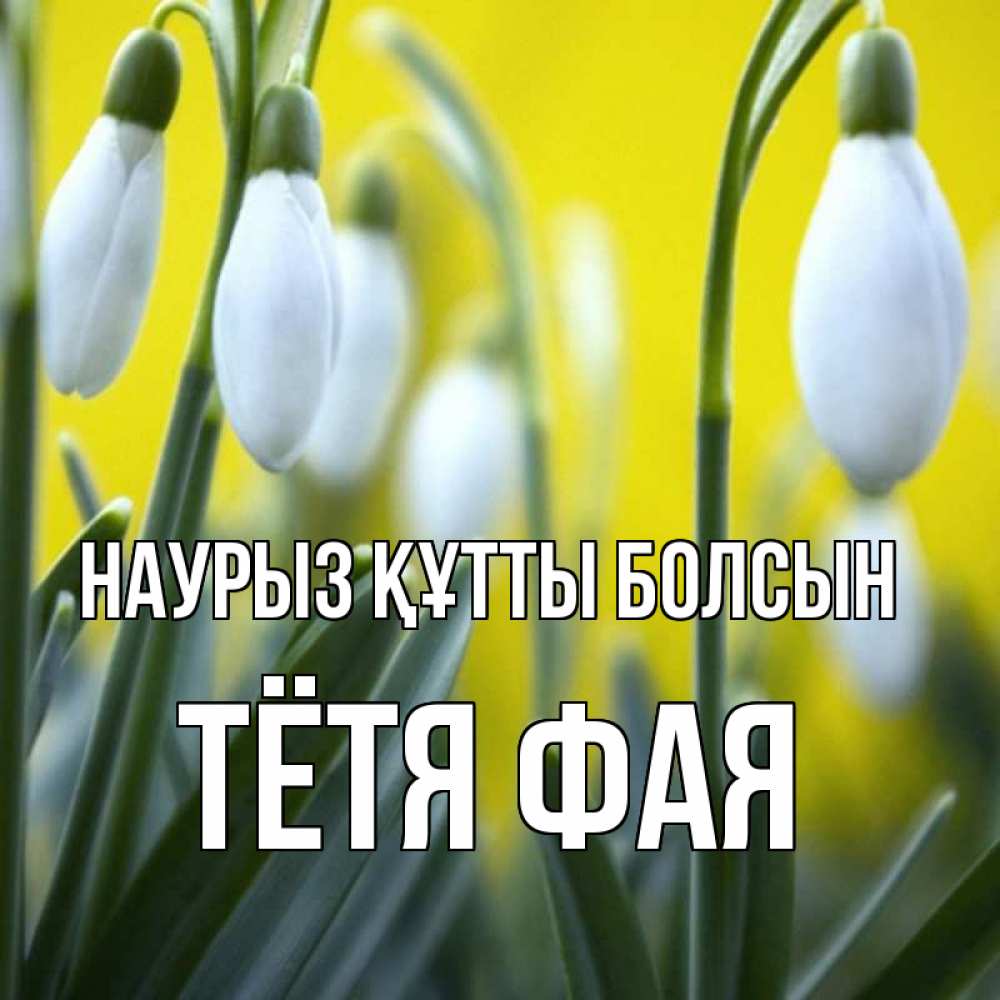 Открытка на каждый день с именем, Тётя-Фая Наурыз құтты болсын весенние цветы Прикольная открытка с пожеланием онлайн скачать бесплатно 
