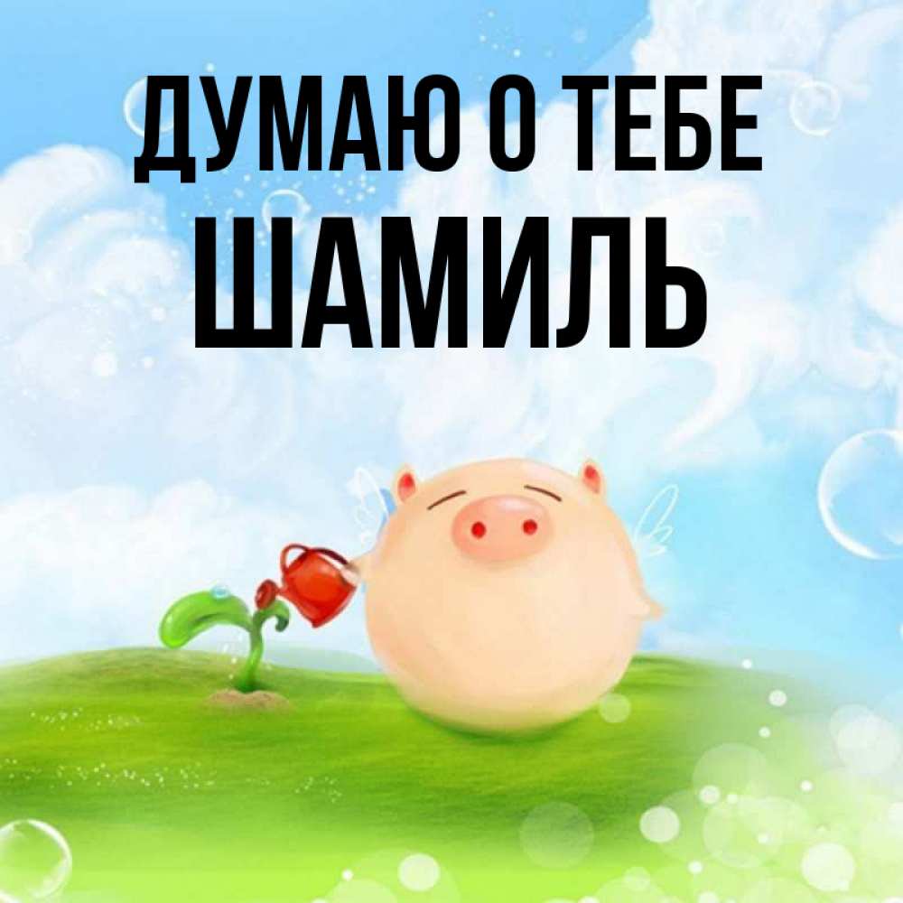 Открытка на каждый день с именем, Шамиль Думаю о тебе позитивная свинюшка Прикольная открытка с пожеланием онлайн скачать бесплатно 