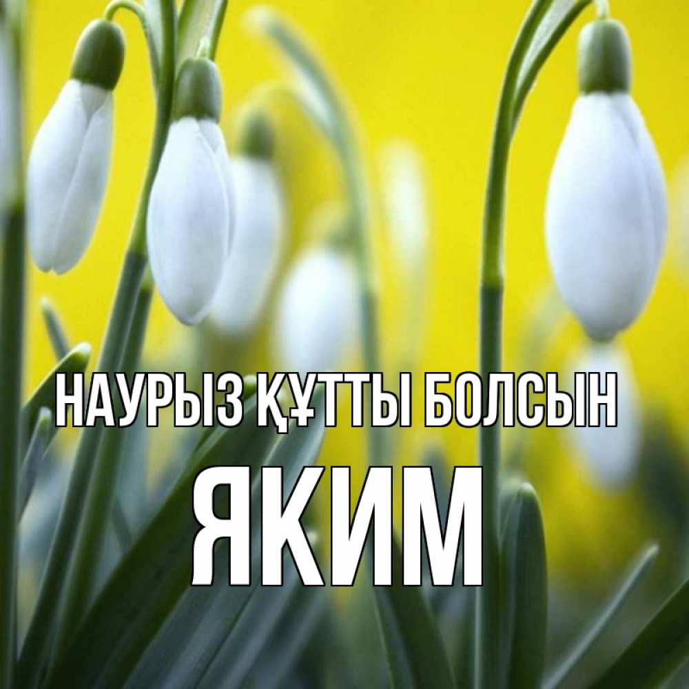 Открытка на каждый день с именем, Яким Наурыз құтты болсын весенние цветы Прикольная открытка с пожеланием онлайн скачать бесплатно 