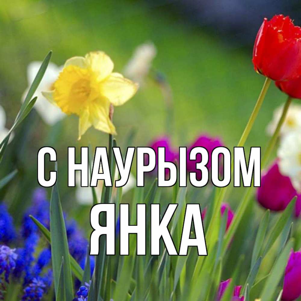 Открытка на каждый день с именем, Янка С наурызом праздник весны наурыз 3 Прикольная открытка с пожеланием онлайн скачать бесплатно 