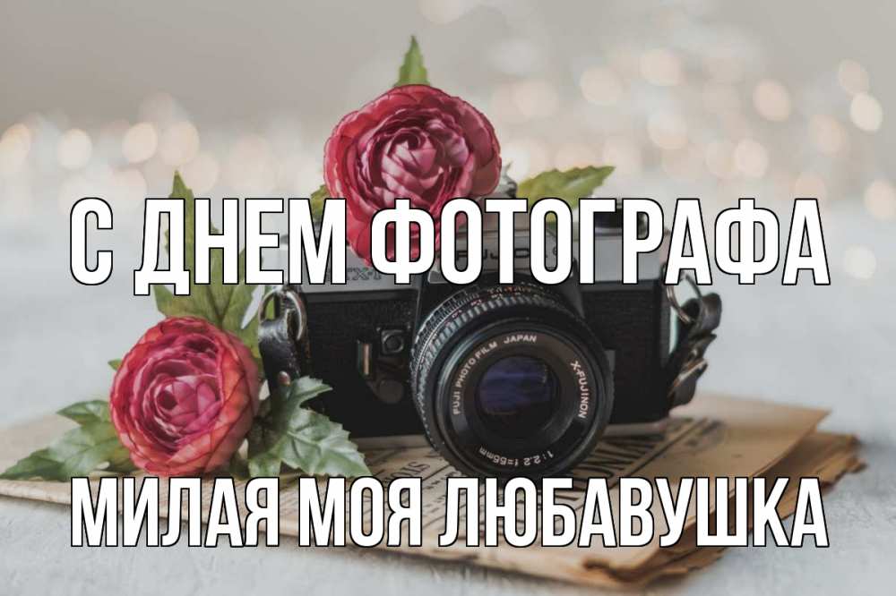 открытка фотографу. фотоаппарат нежно. Mila zhdanova фотограф. фотоаппарат кошечка. кот с фотоаппаратом.