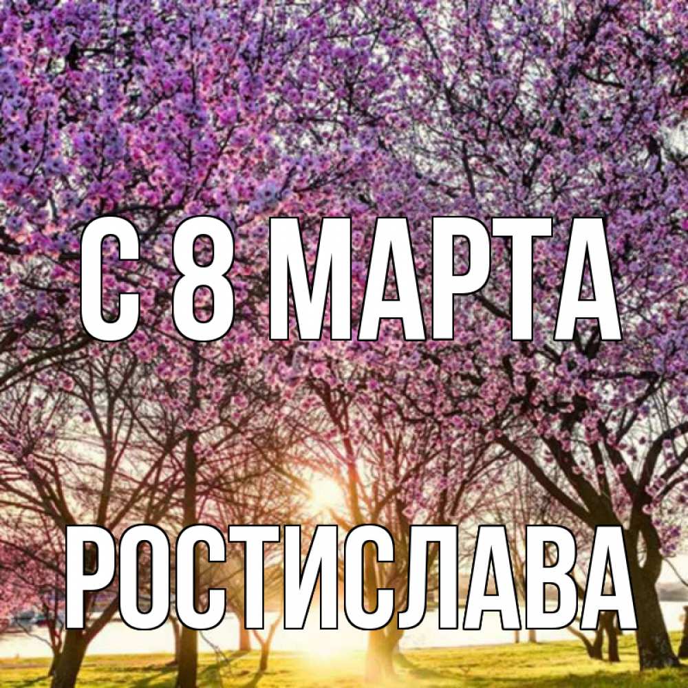 Открытка на каждый день с именем, Ростислава С 8 марта международный женский день Прикольная открытка с пожеланием онлайн скачать бесплатно 