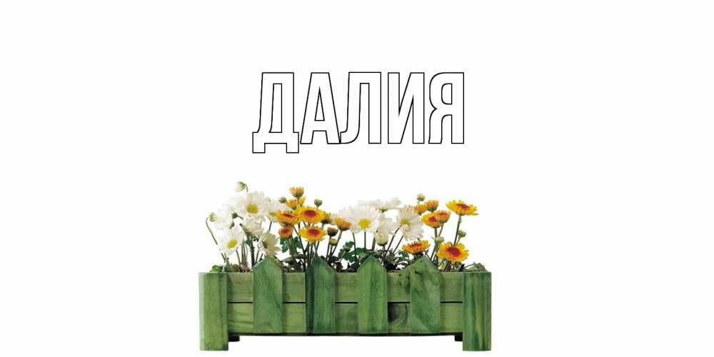 Картинка  с именем , Далия